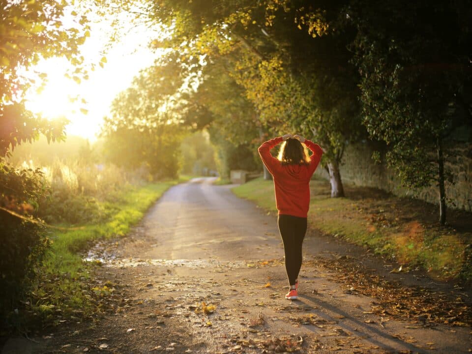 Person walking along a quiet tree-lined road at sunrise.