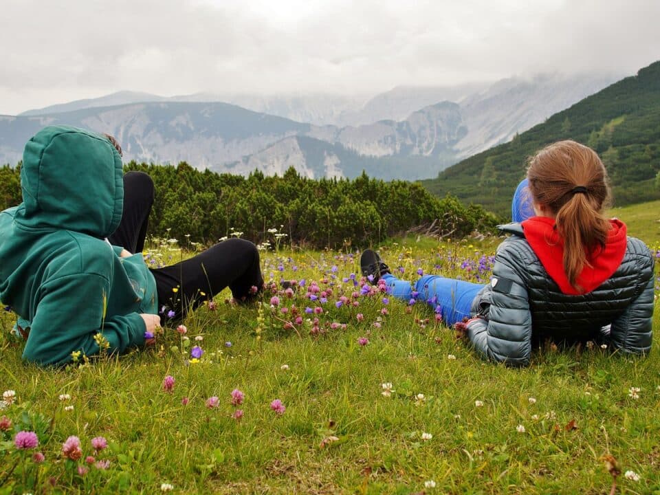 Two people lying on the grass among flowers, facing the mountains.