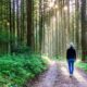 Therapeutic Walk in Nature