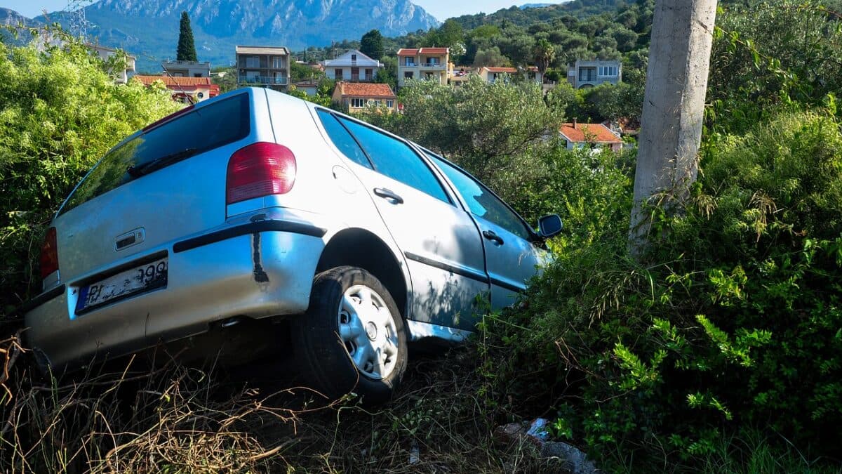 car accident falls into roadside