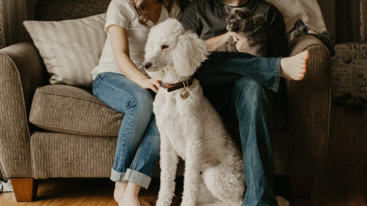 a couple with their pets cat and dog