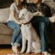 a couple with their pets cat and dog