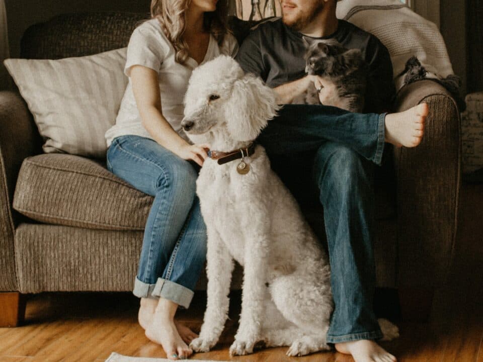 a couple with their pets cat and dog