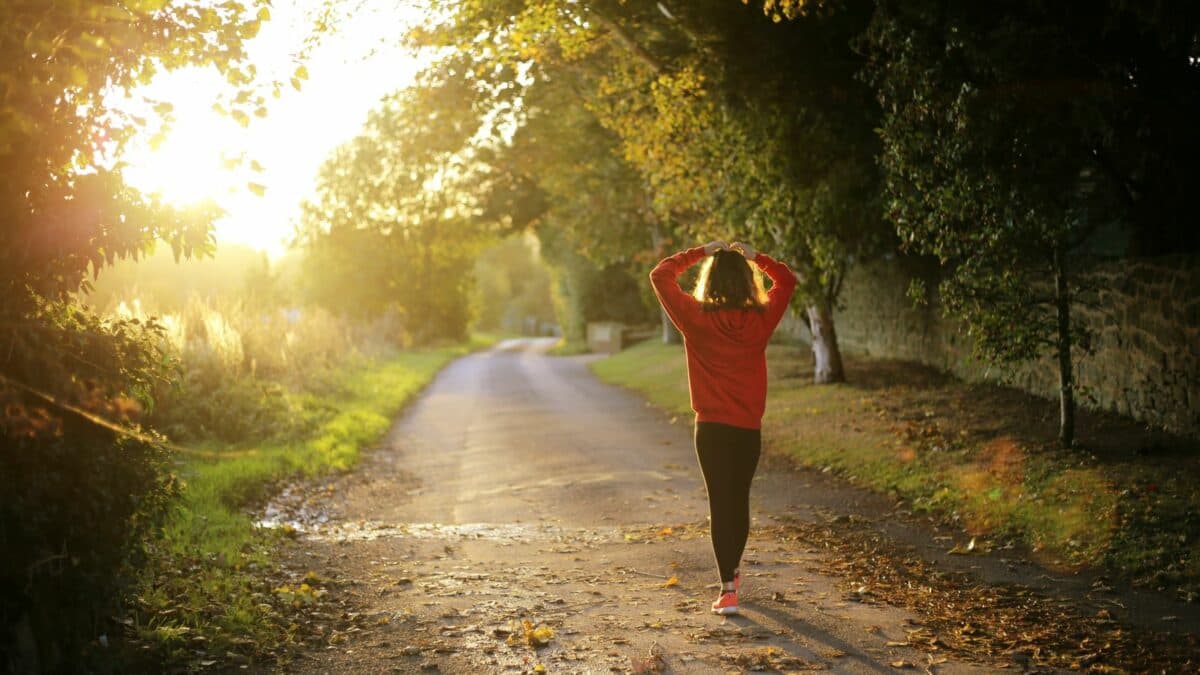 Person walking along a quiet tree-lined road at sunrise.