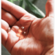 a medicine on palm hand