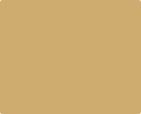 Rectangle 182 (1)
