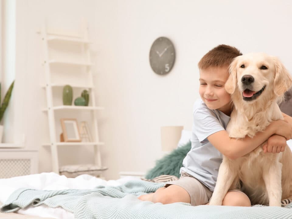cute boy hugging an adorable dog in bed