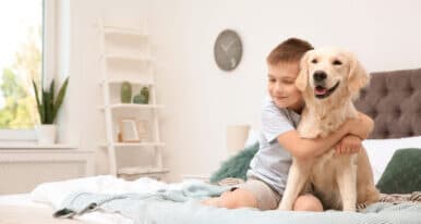 cute boy hugging an adorable dog in bed