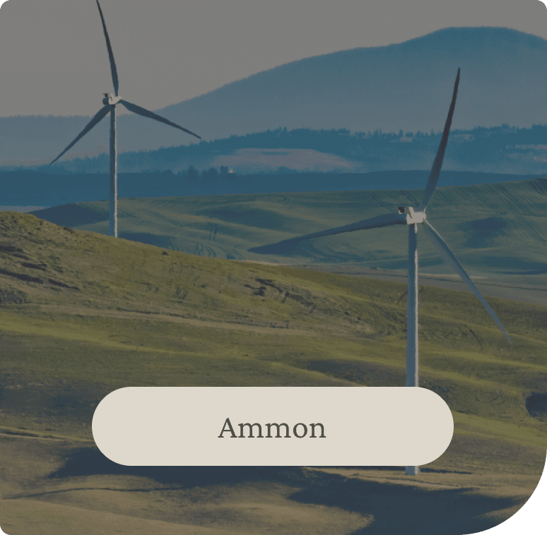 Ammon