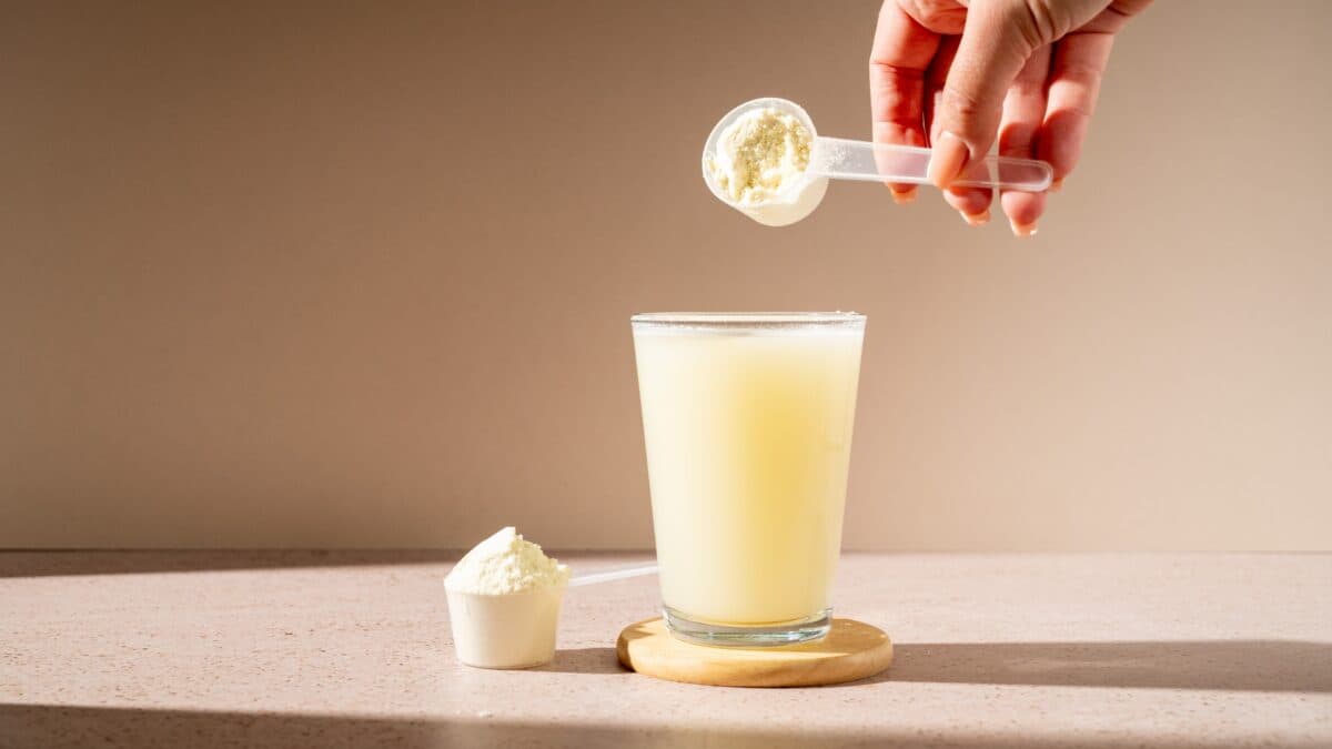 Protein shake and protein powder in a scoop, collagen, creatin, food supplement