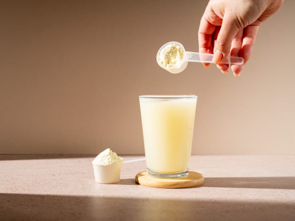 Protein shake and protein powder in a scoop, collagen, creatin, food supplement